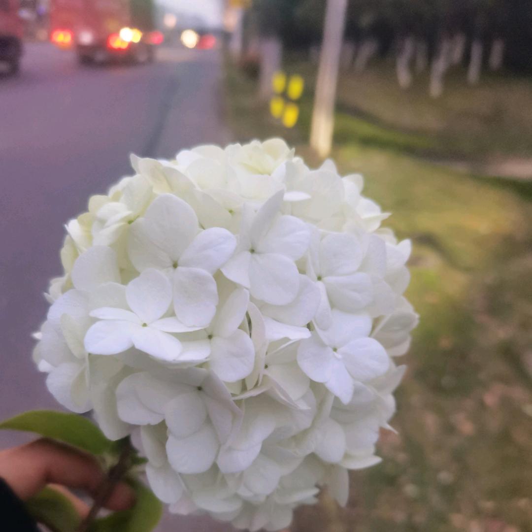 我是送外卖的