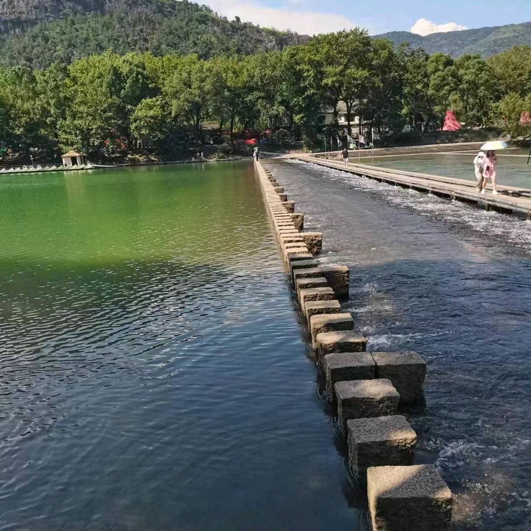 二十一玫