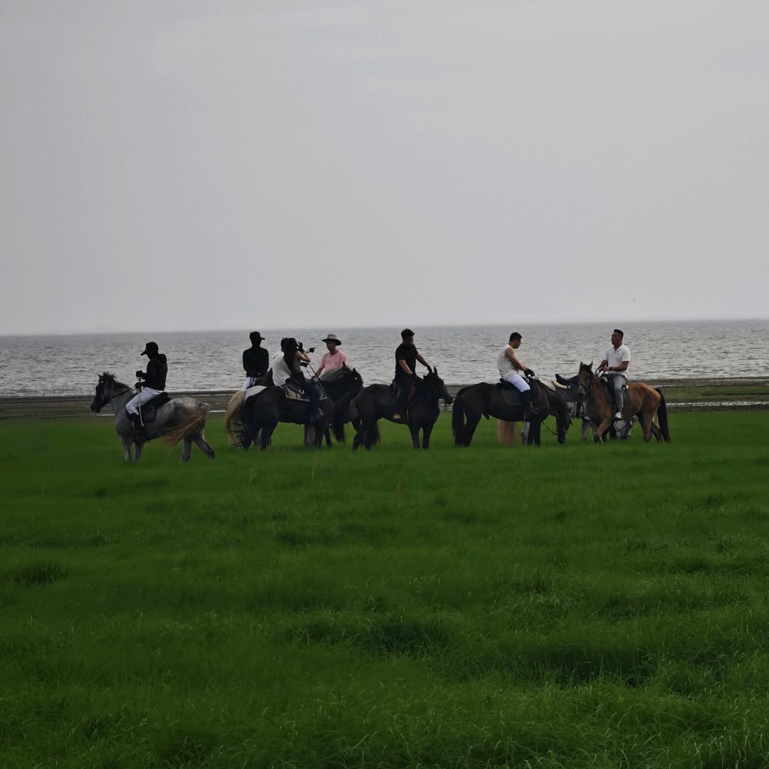马上见（野骑)