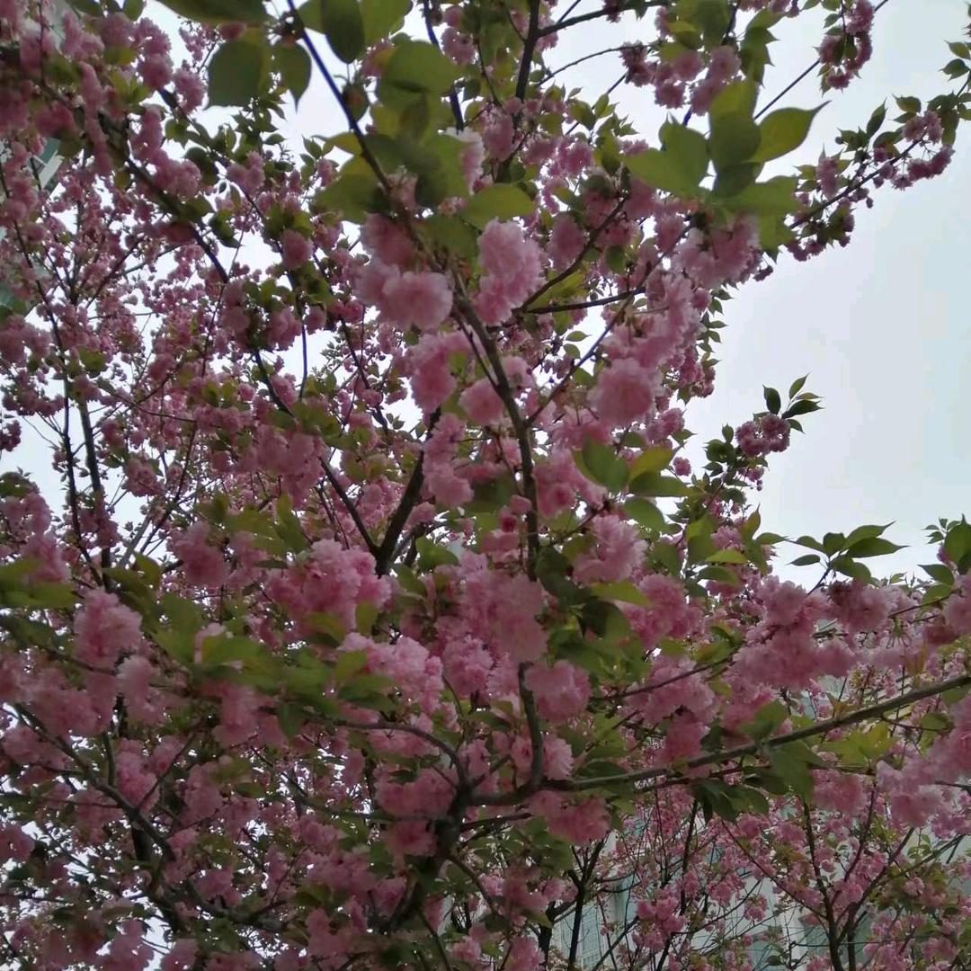 幸福一家何记纯粮酒坊🌹🌹🌹