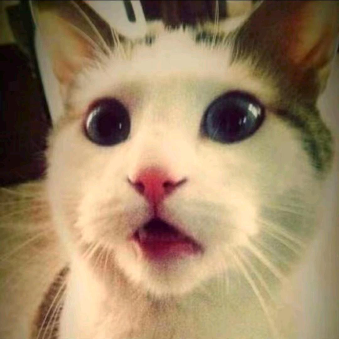 Здравствуйте（开学版）