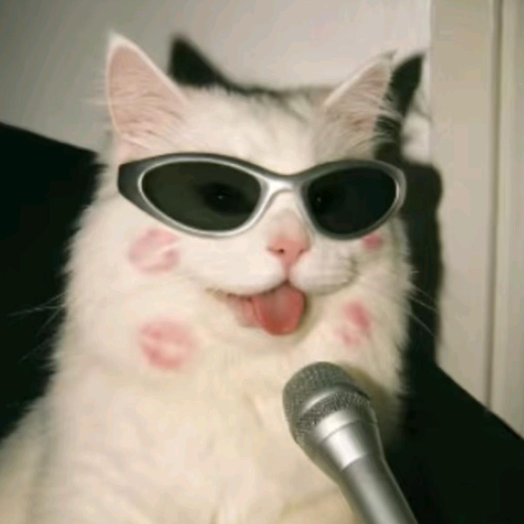 认真的李🃏