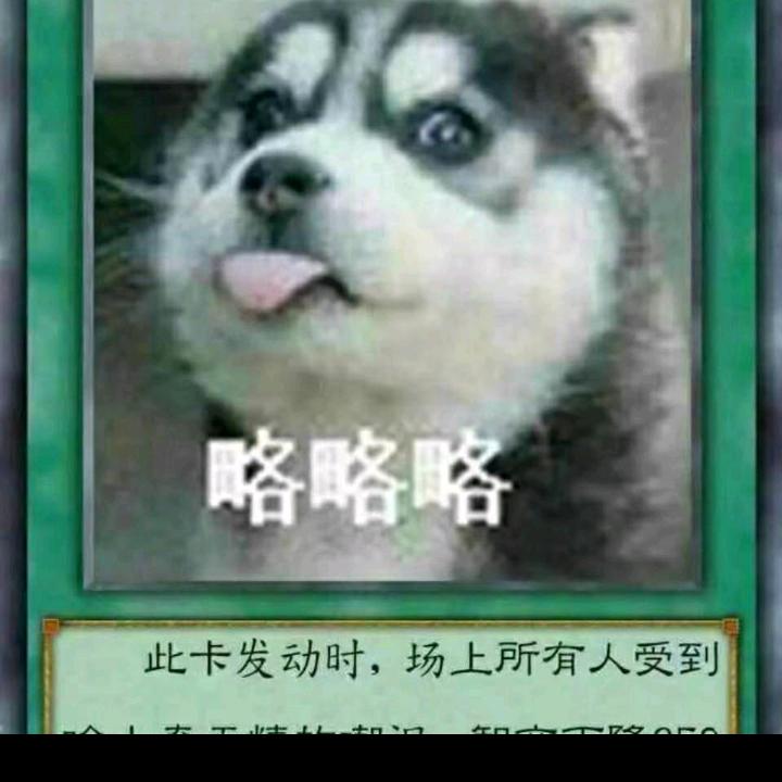 花树语