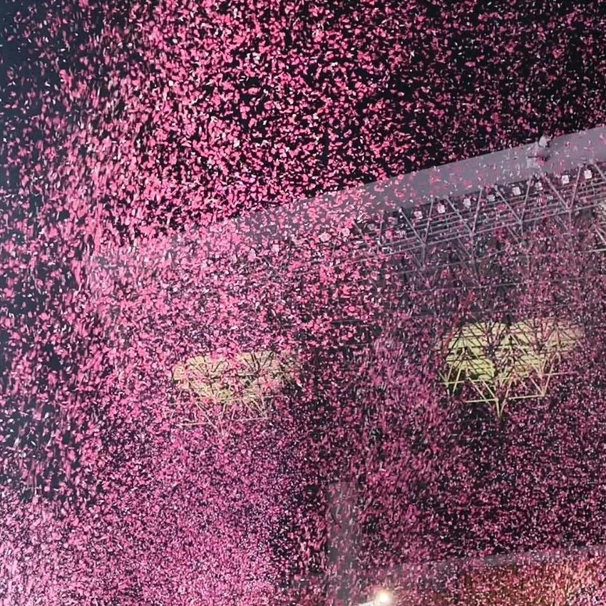 ℳ🌺҉ོ非你不娶ꦿ🛸