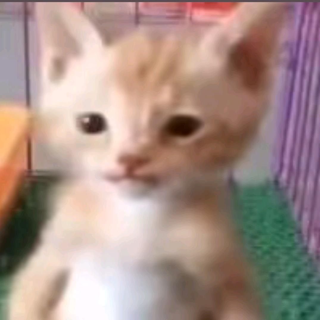 坚持.
