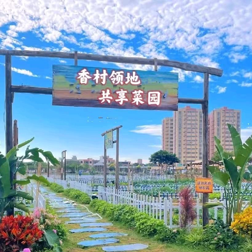 新月船说·遇见（共享菜园）