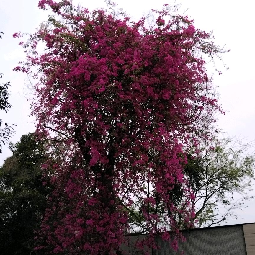 超越梦想一起飞