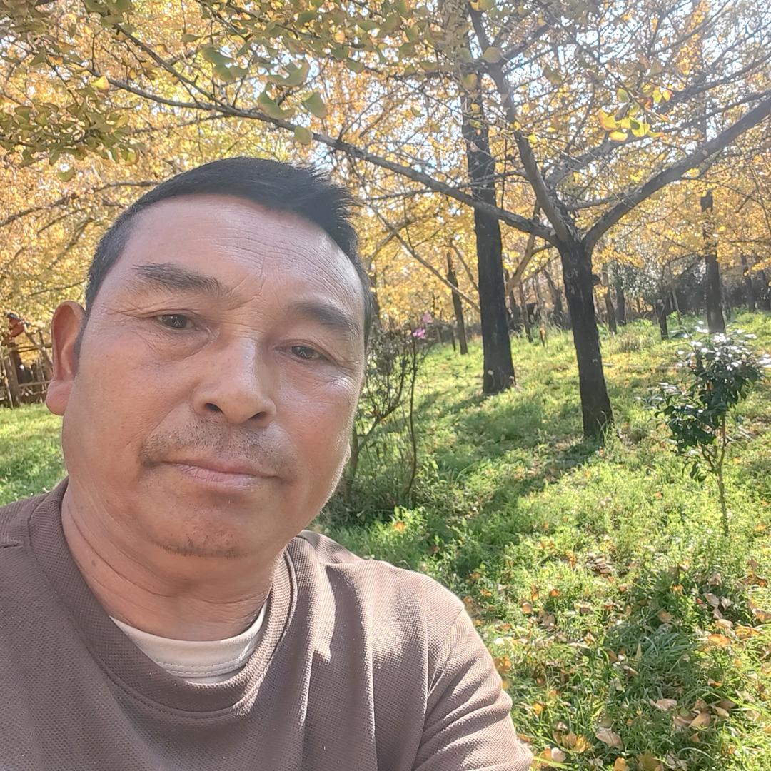 家和万事兴