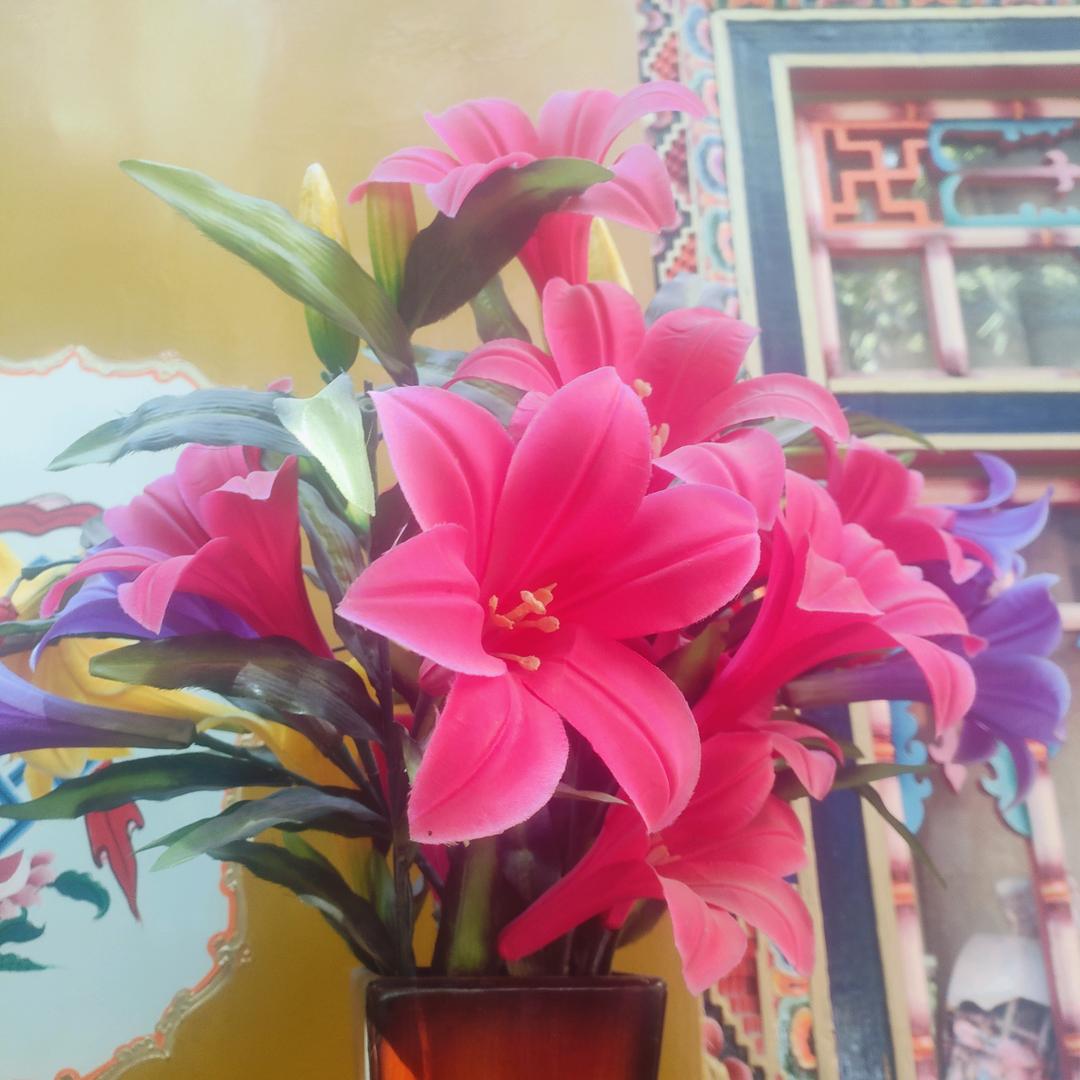 央吉