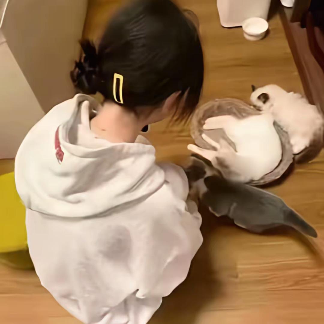 网⭕^沈妤 ^ 💕