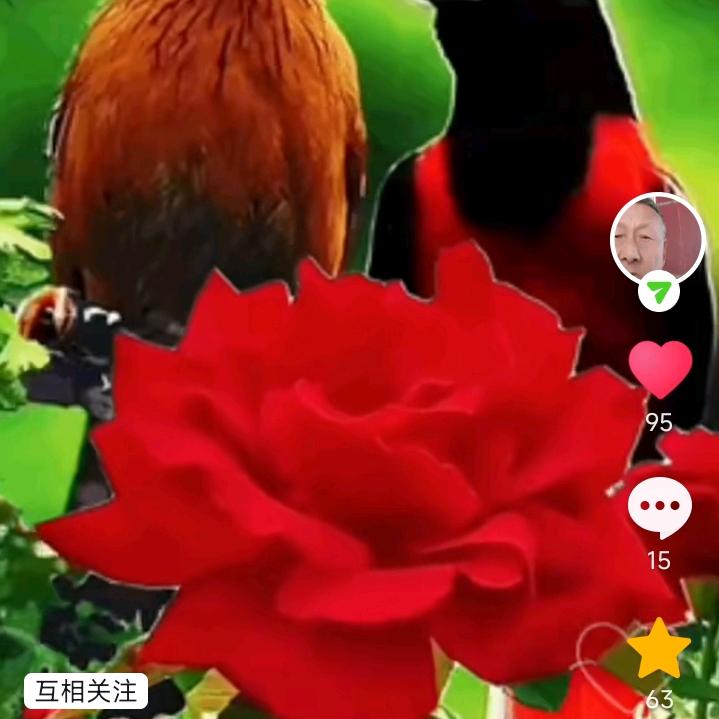 全红世界