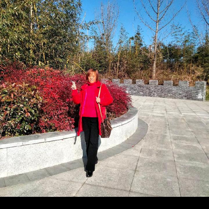 陈国香。关垭子