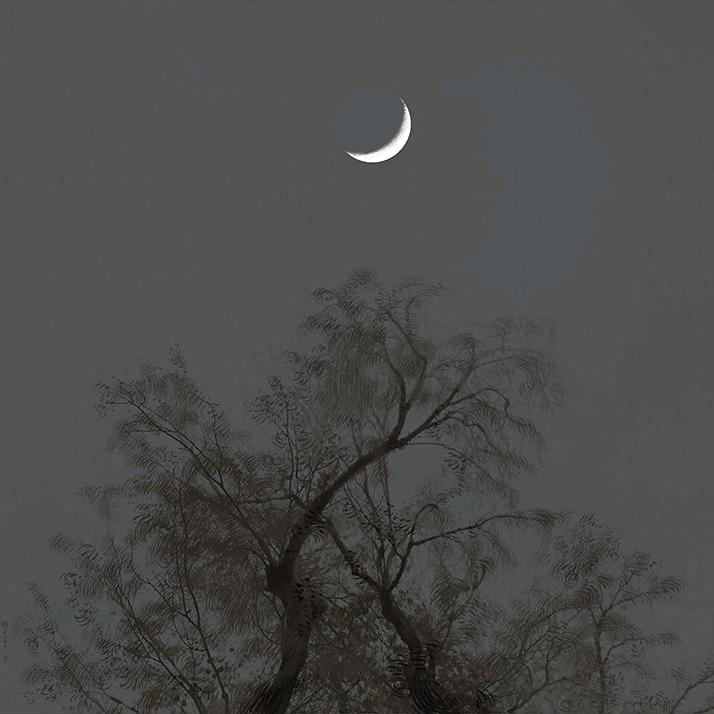 来瓶肥宅水