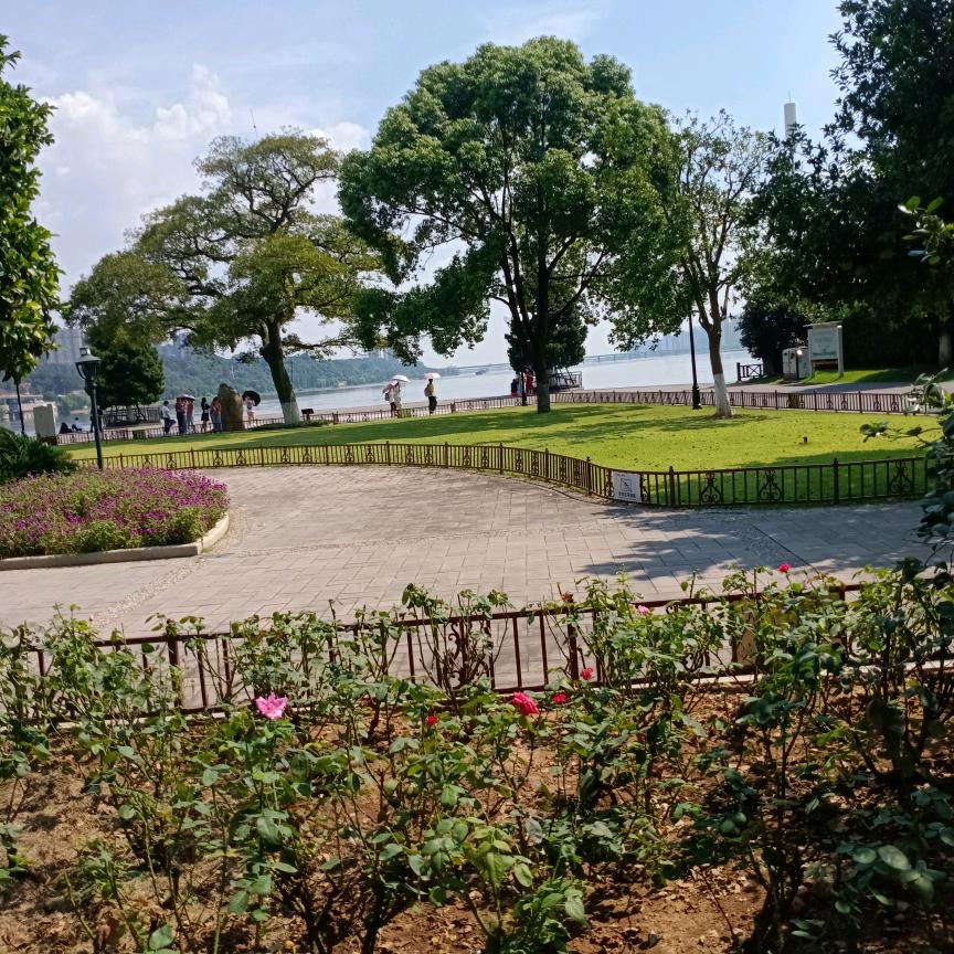 海阔任鱼跃，天高任鸟飞