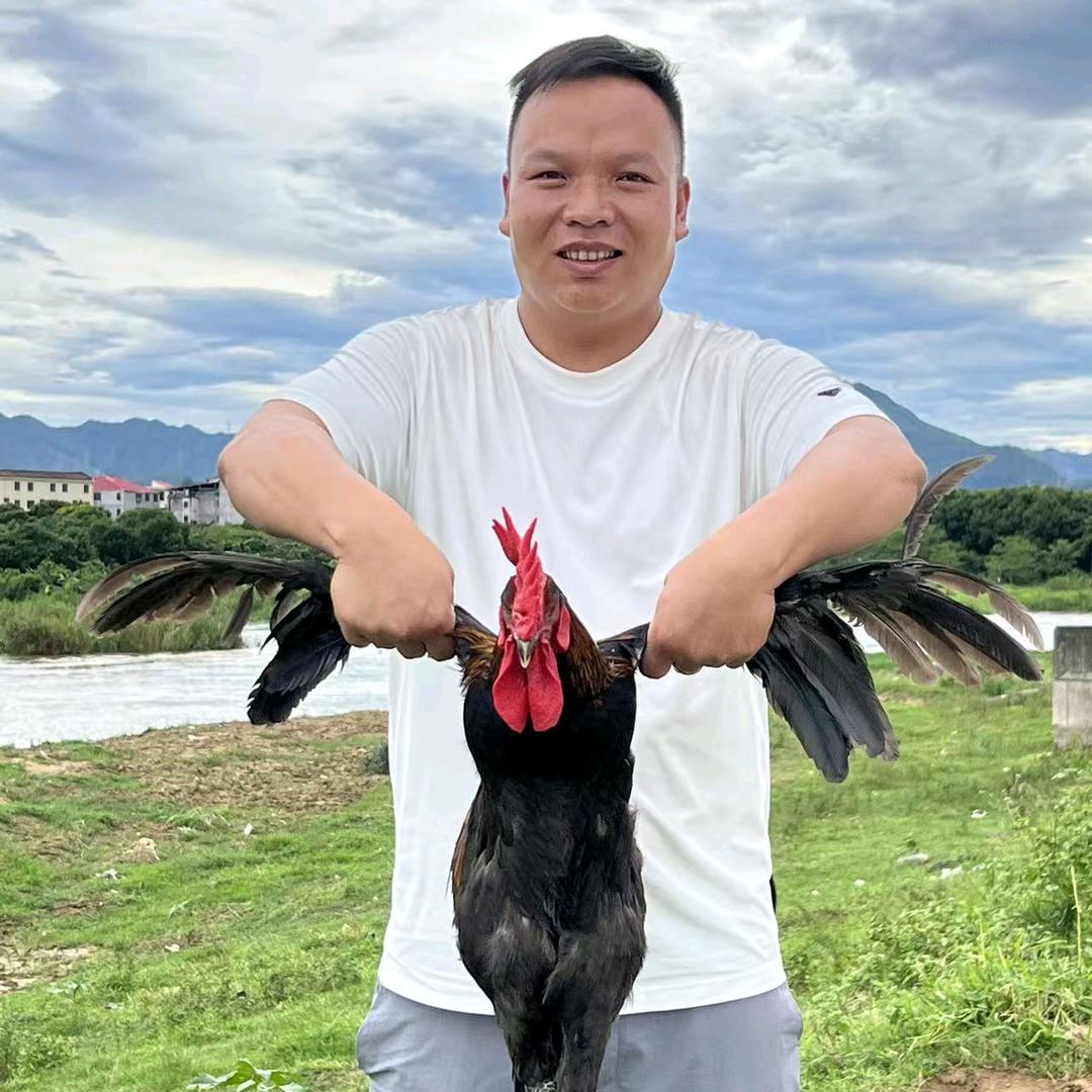 闽南特产农产品店