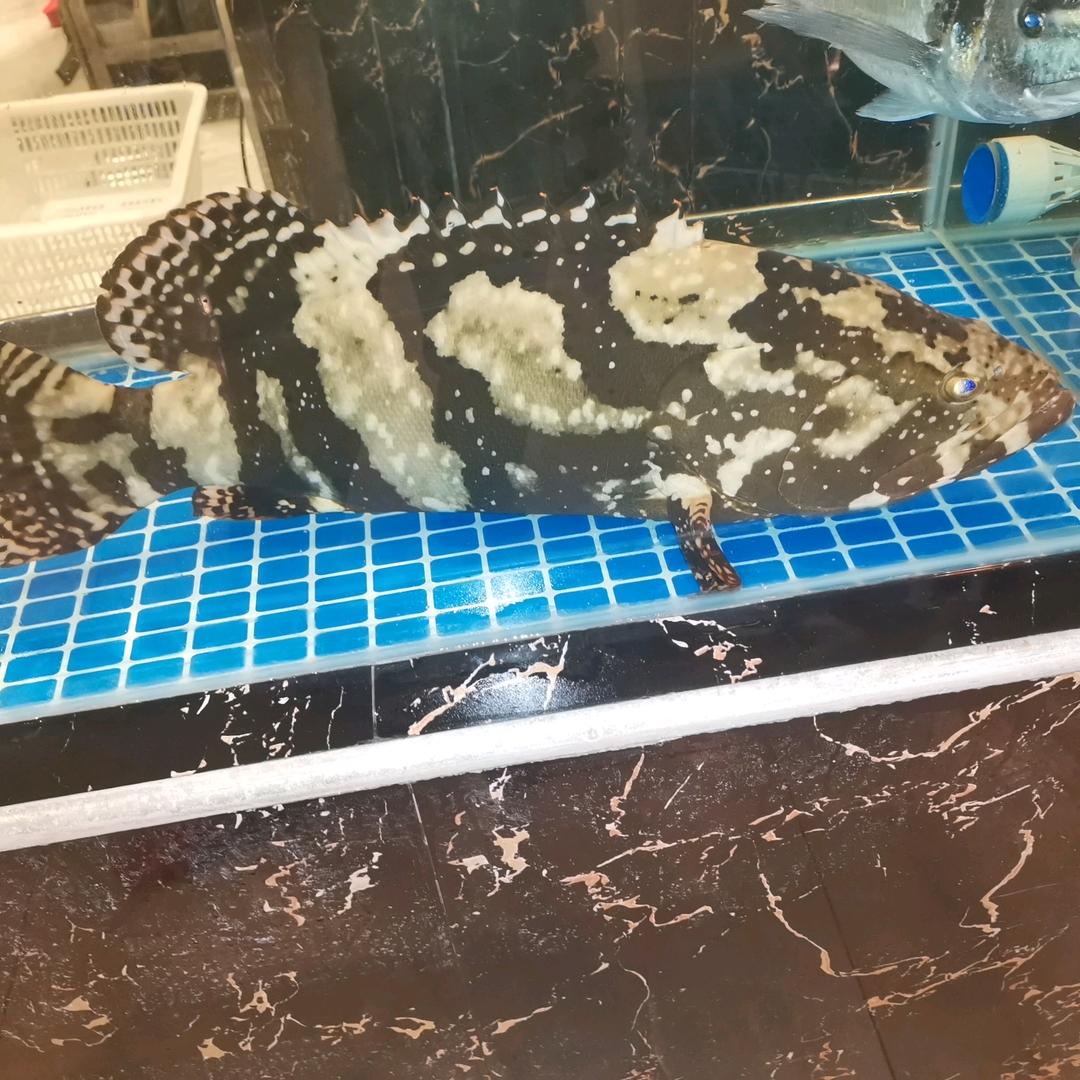 为生活而奋斗