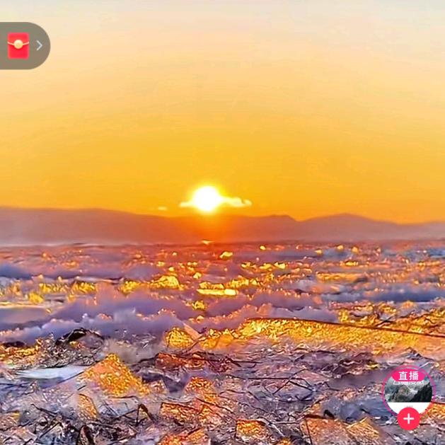 一颗快乐的小梅子