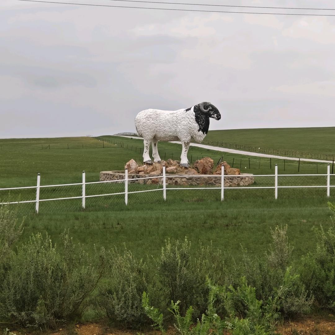 ╭( ′• o •′ )╭☞就是这个人！