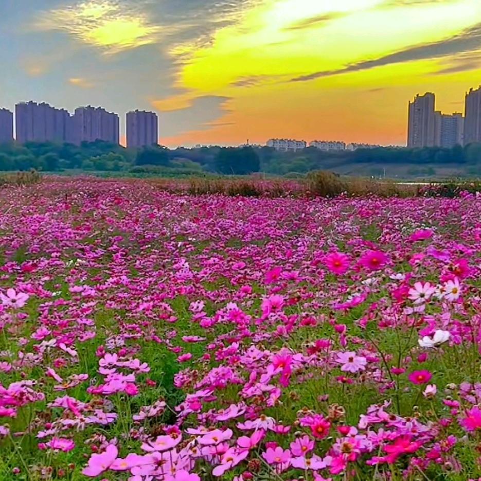 凉᭄ꦿ꯭心💞凉忆ꦿ᭄