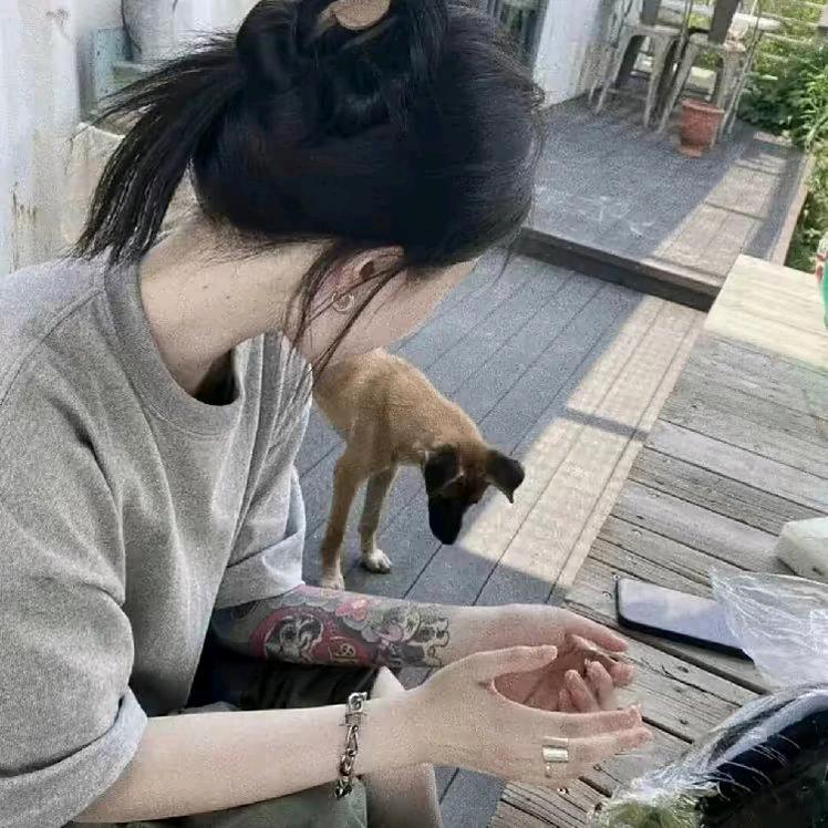 呆呆