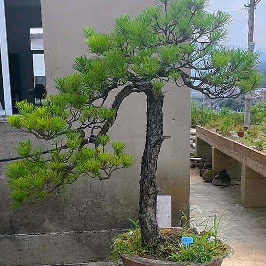 用户576881
