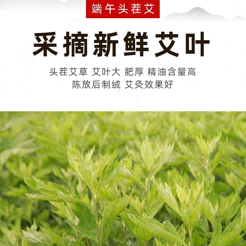 旭润蒲卡养生店铺