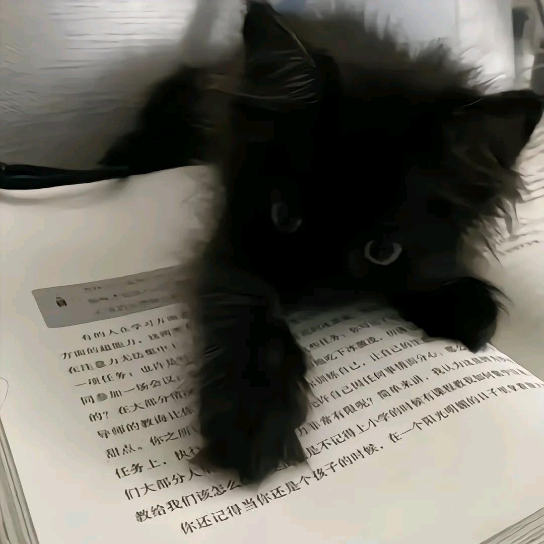 ʟ