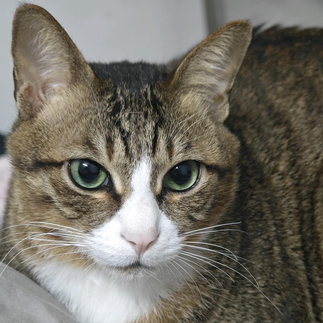 只剩夏天那抹忆