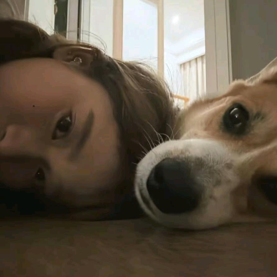 那天应该说再见