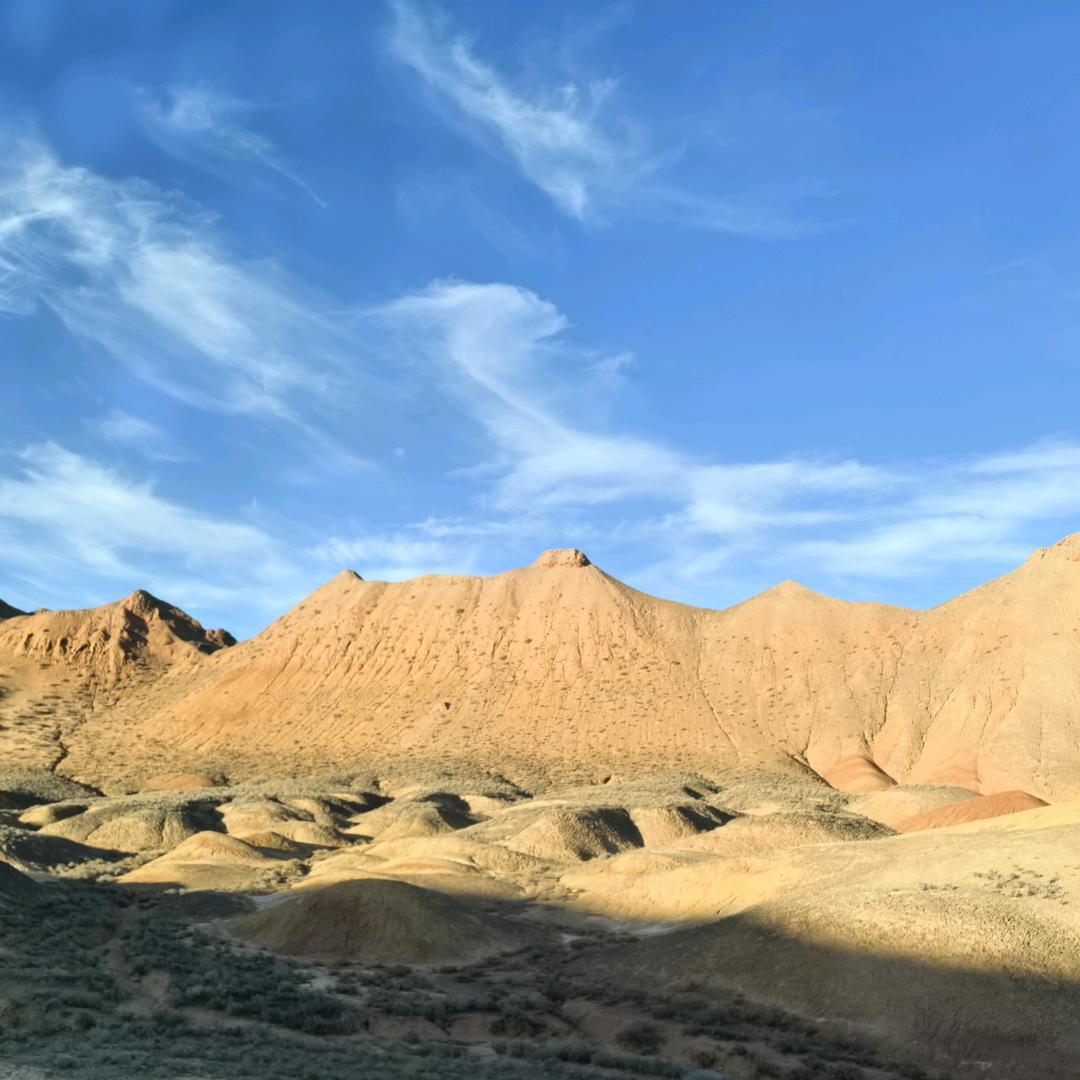 阿云阿跃要运动