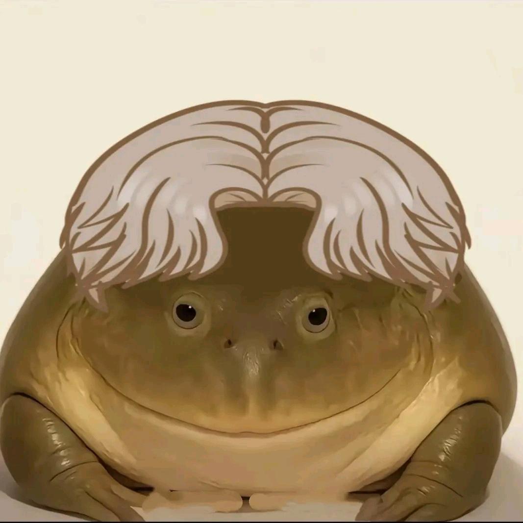 一只癞格宝♪