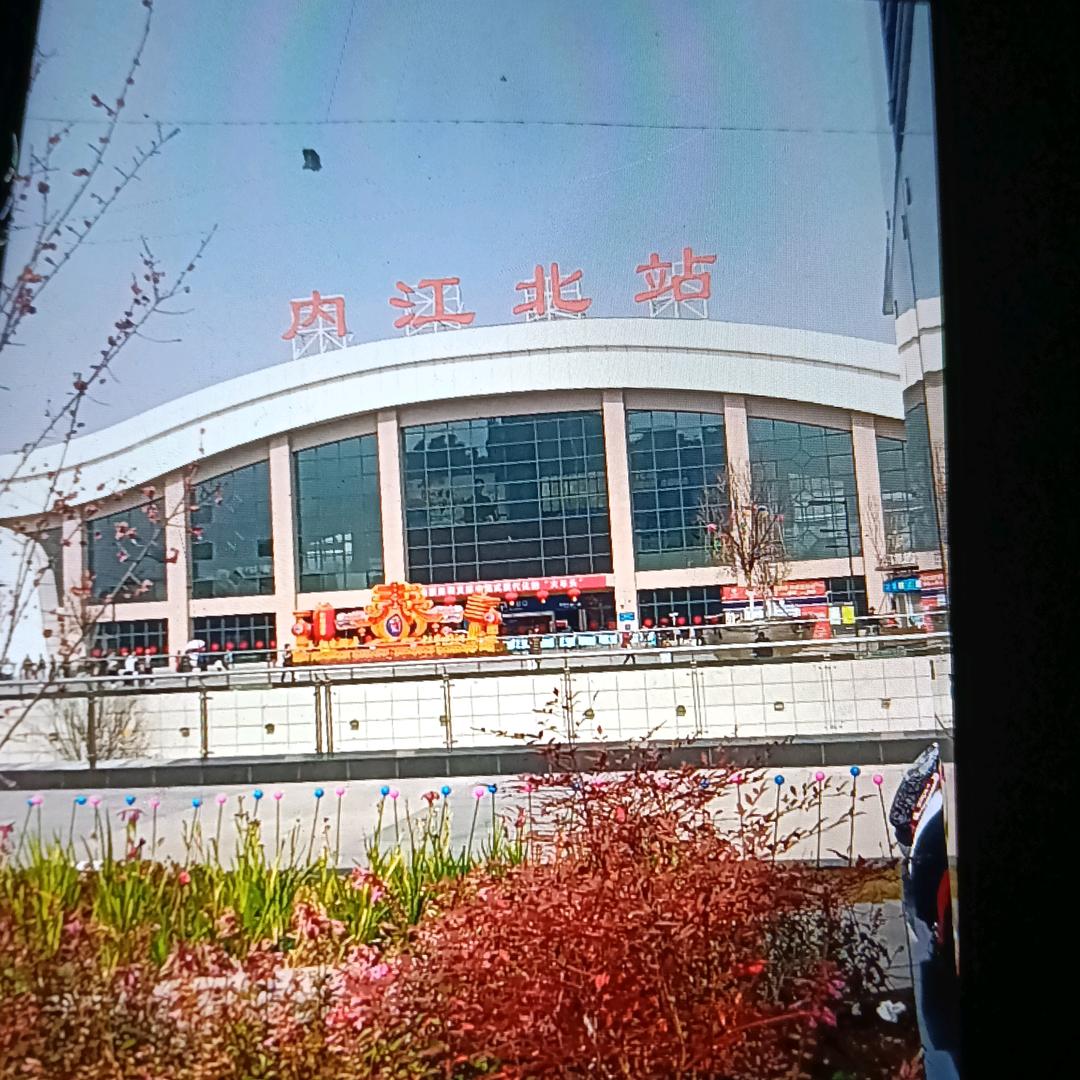 不来打扰，六七年羊