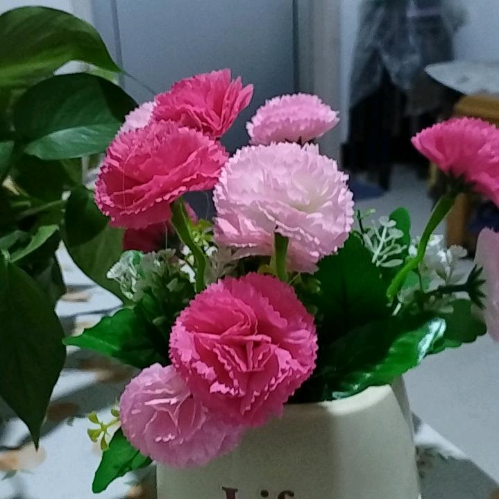 办宽带号卡（小丁）