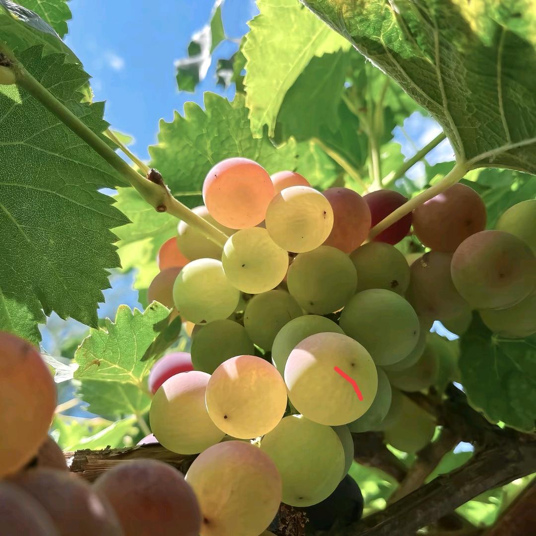 谁还有多余资金