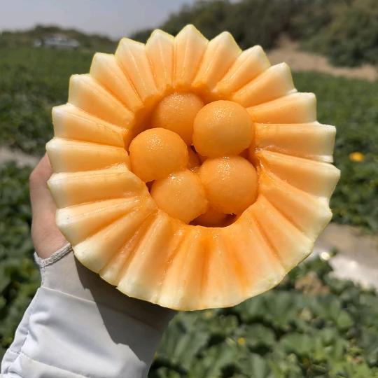 可爱的百货生活坊