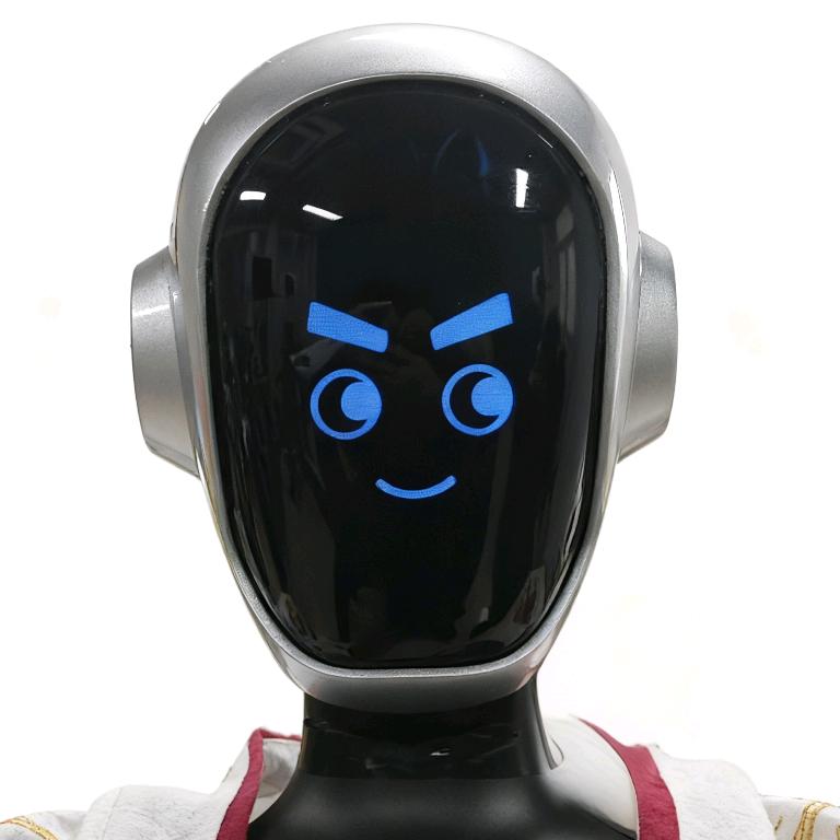 觉醒机器人小皮