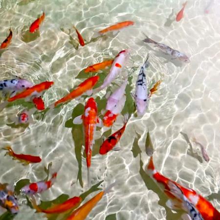 西安凌度精选商品