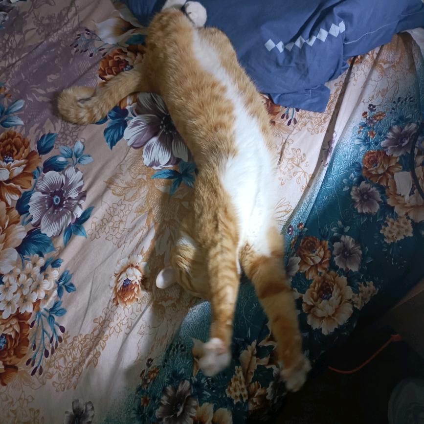 方程堡垒