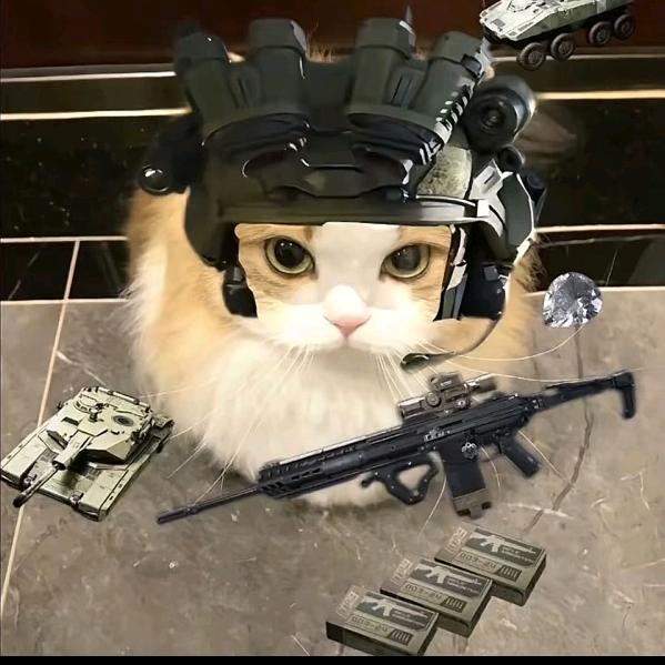 豆沙跑刀（三角洲）