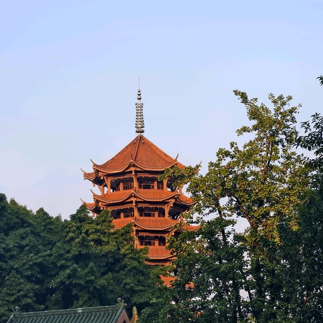 胖哥