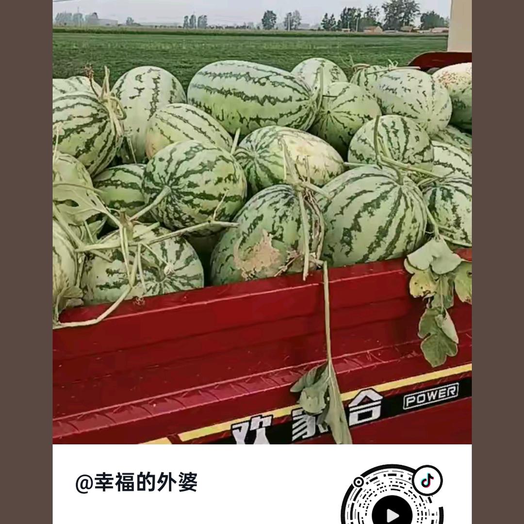 微笑🌺🌸🌹🌻