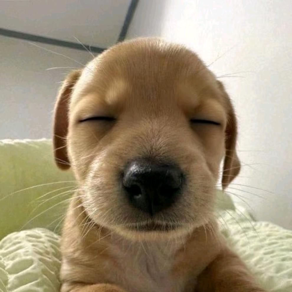 每天都睡不醒怎么办💤