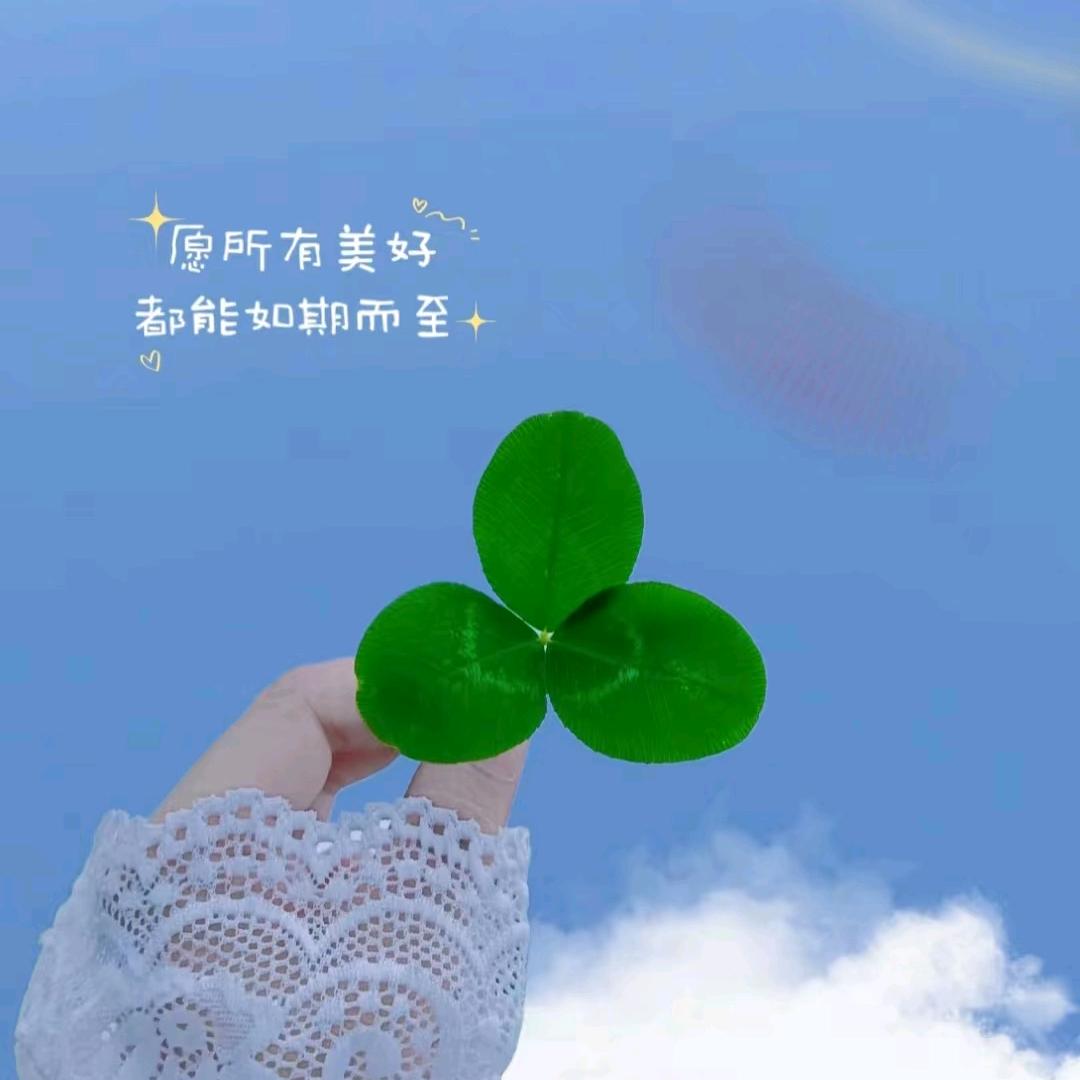 喵喵小财⭐