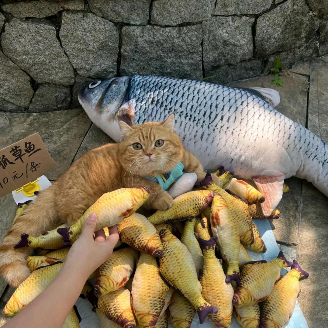 觅食