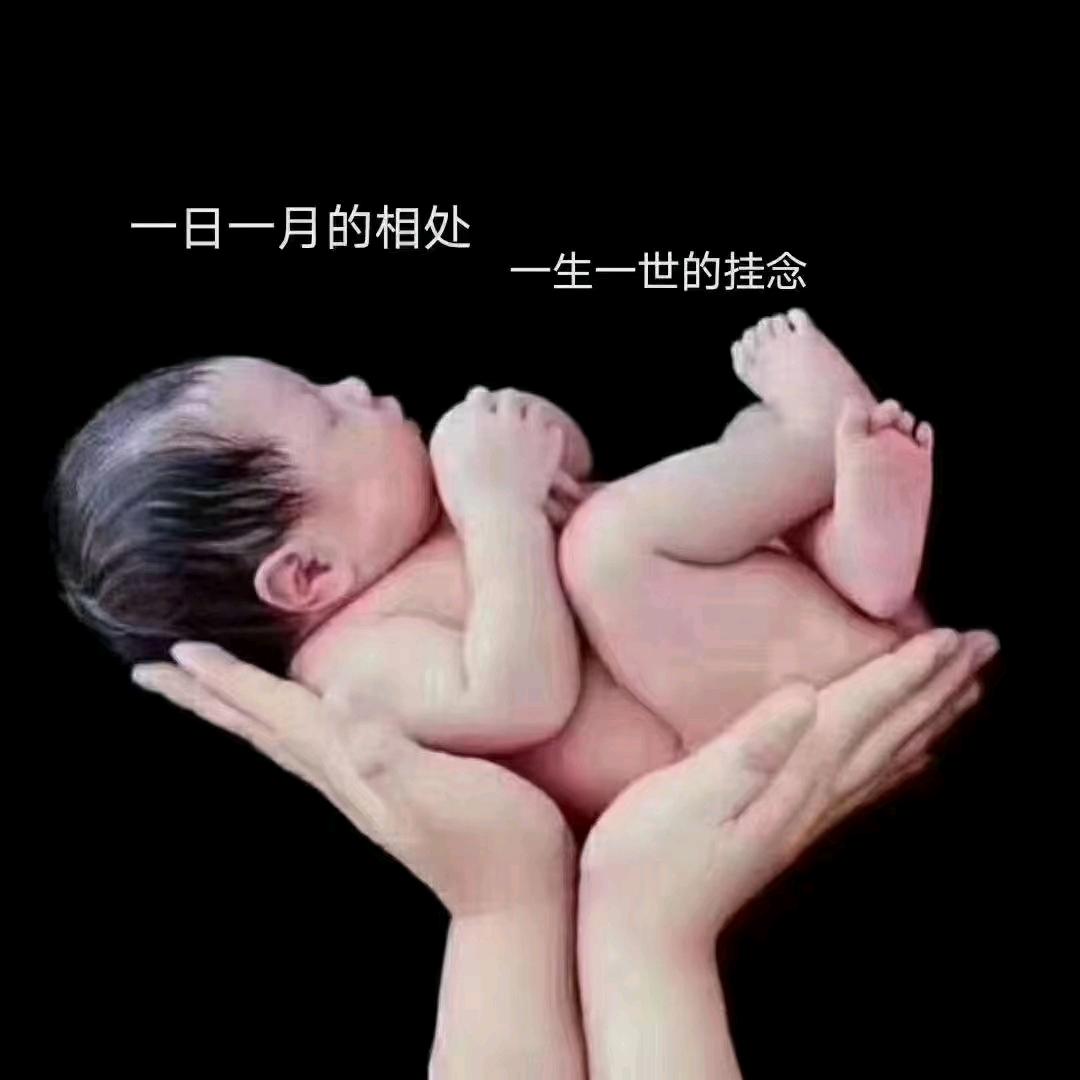 韩姐（拒聊）