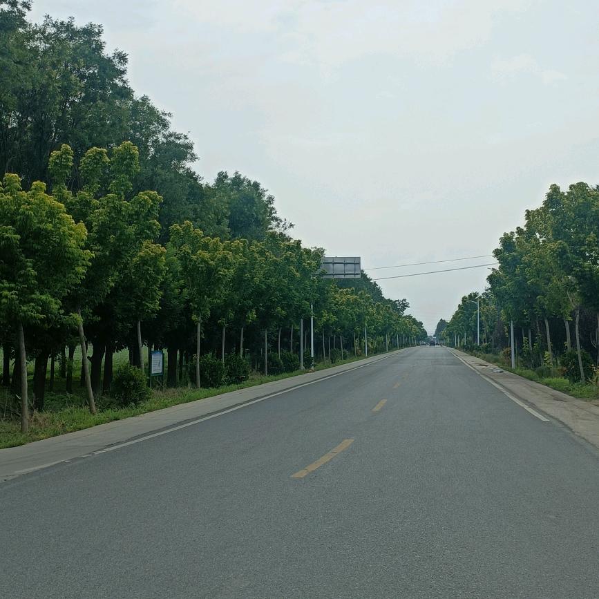 🌈🌈🌈🌈🌈嘿嘿嘿