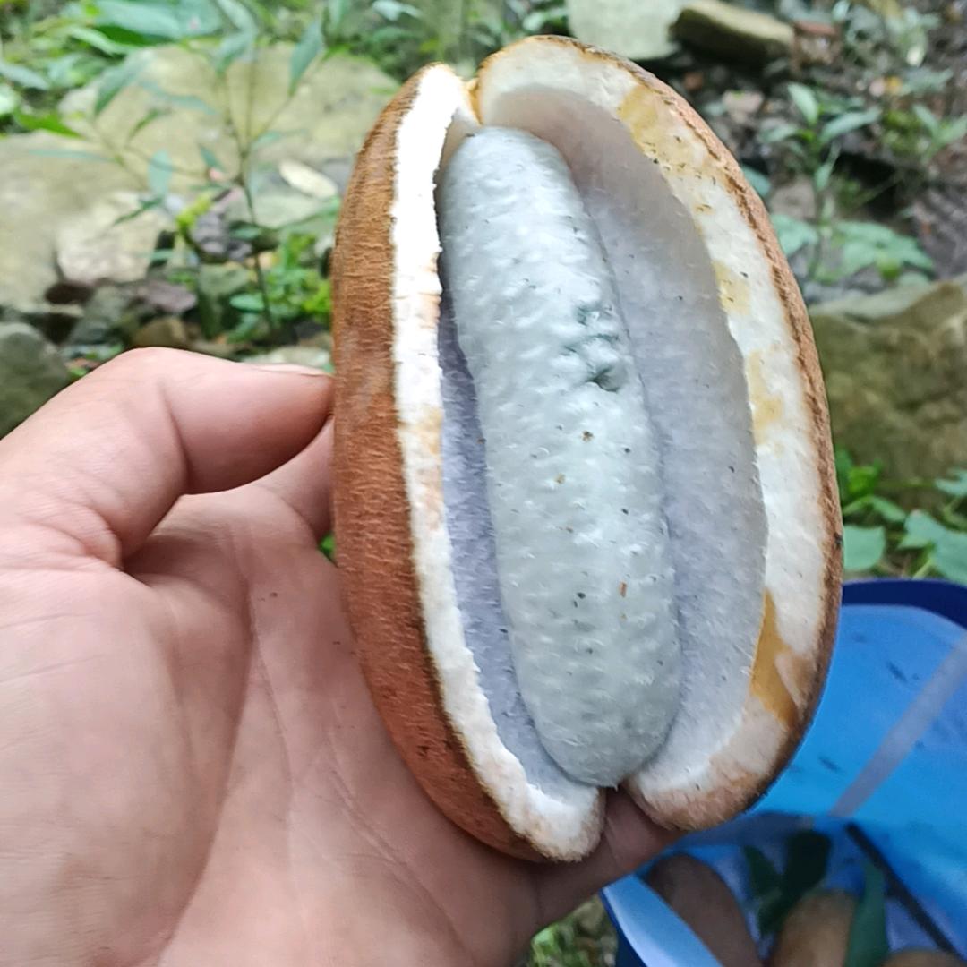 风雨