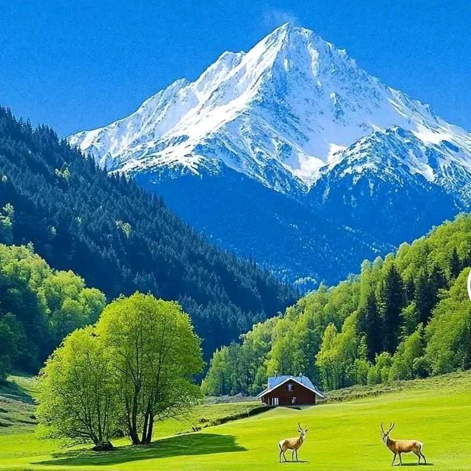 难波儿玩★♥♥♥♥★