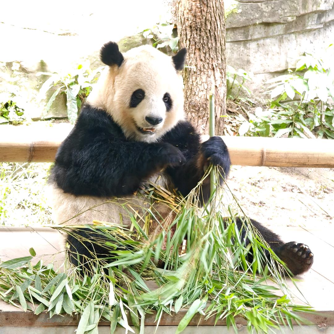 人生不过三万天