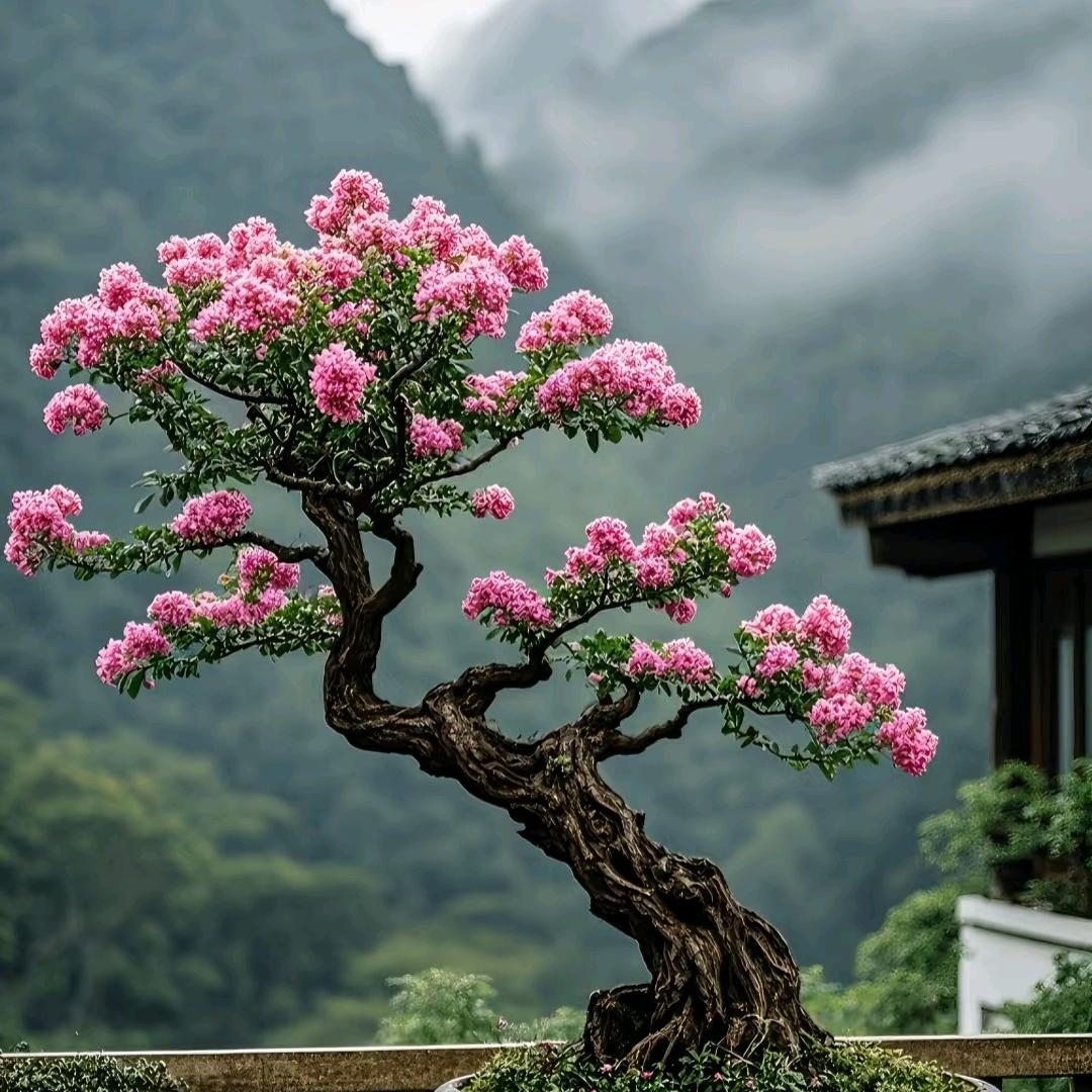 绿溢花卉园艺